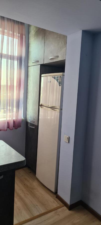 Flat In Central بيشكيك المظهر الخارجي الصورة